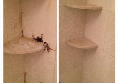 stain and mold remediation